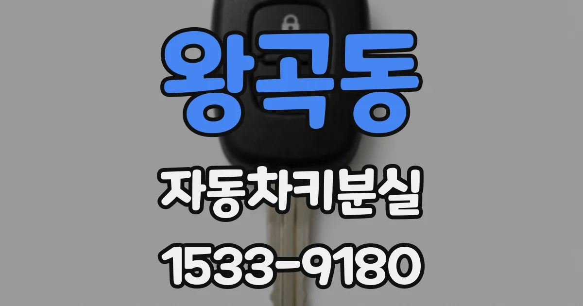 왕곡동 자동차키분실