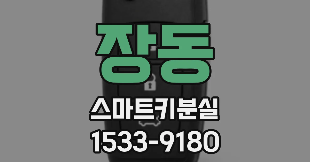 장동 스마트키분실