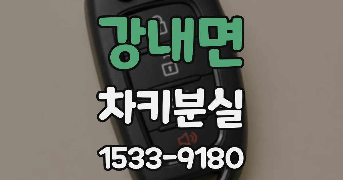 강내면 차키분실