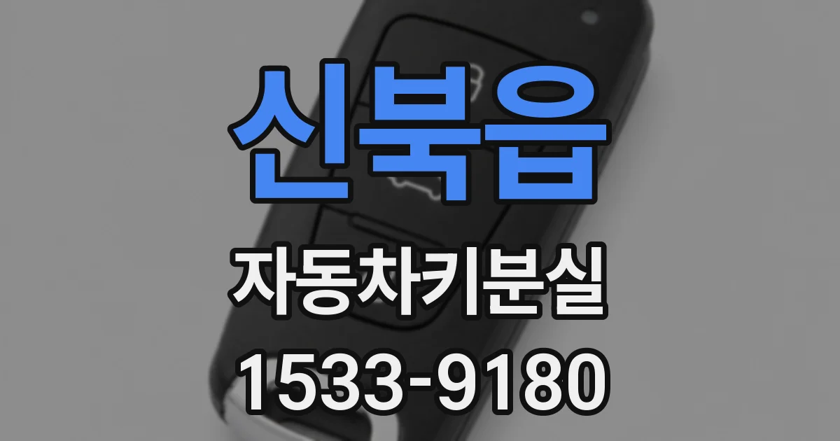 신북읍 자동차키분실