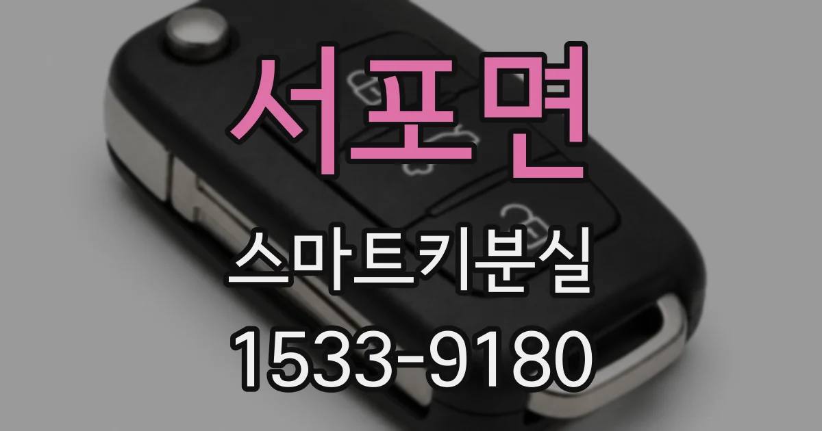 서포면 스마트키분실