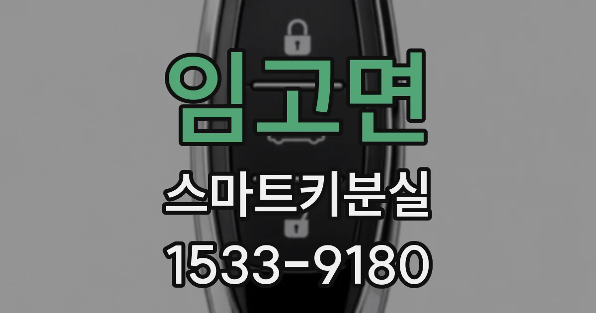 임고면 스마트키분실
