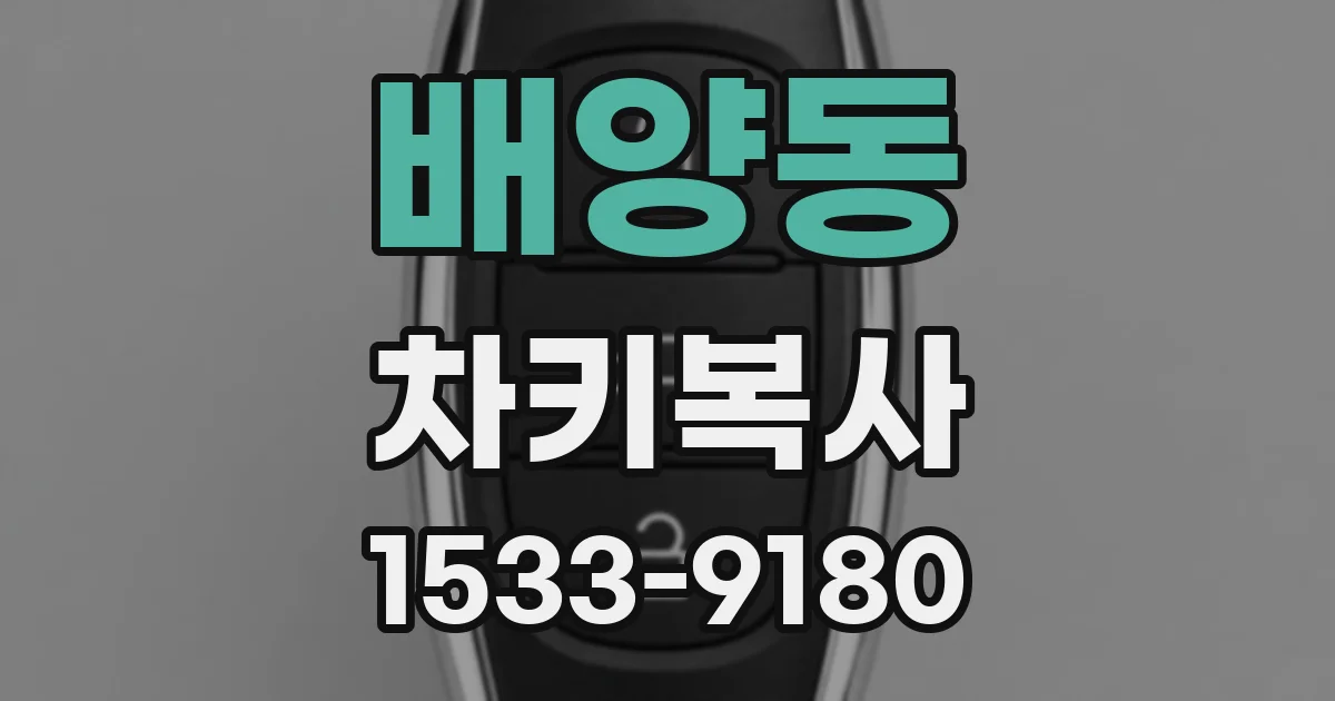 배양동 차키복사