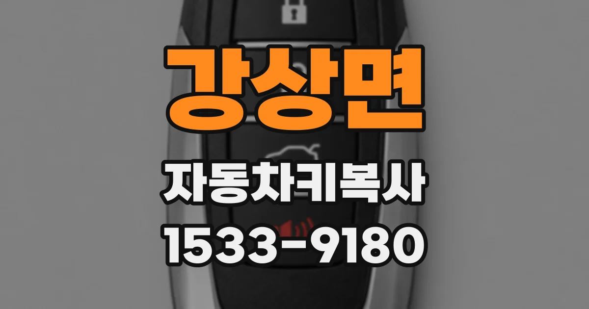 강상면 자동차키복사