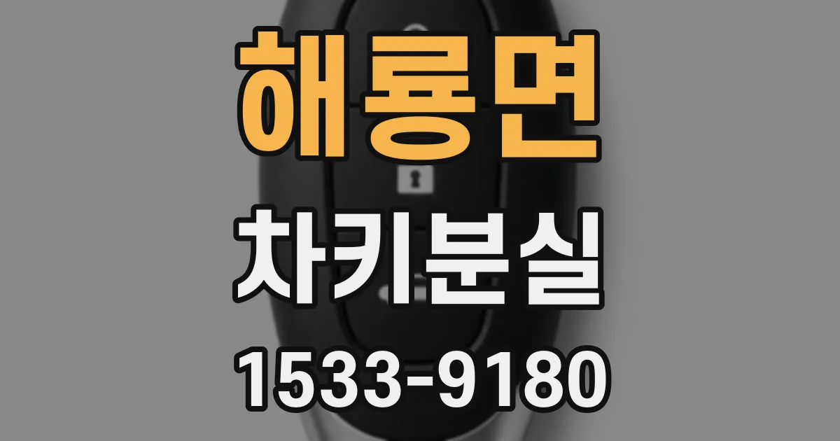 해룡면 차키분실