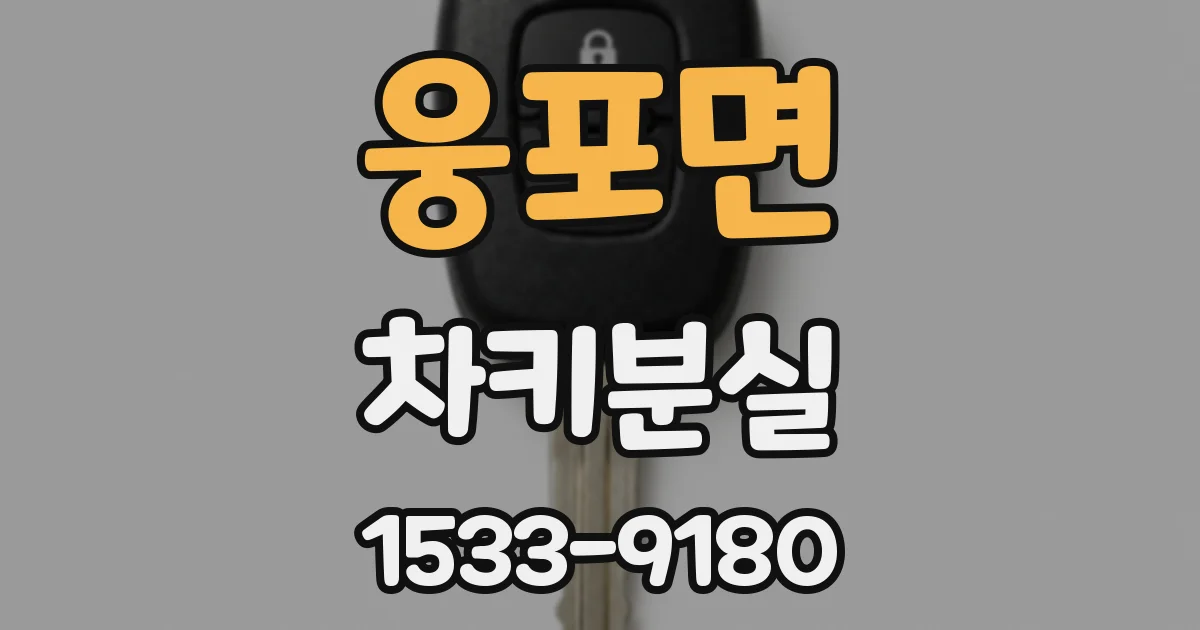 웅포면 차키분실