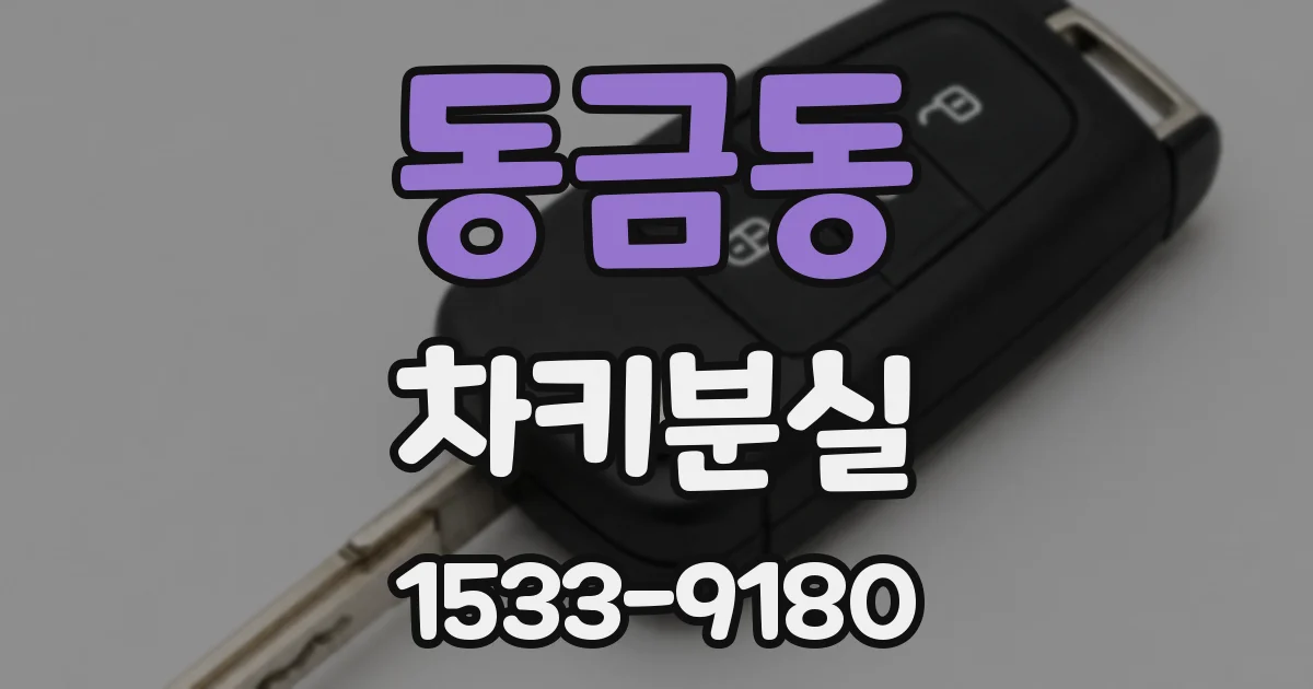 동금동 차키분실
