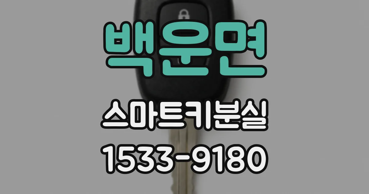 백운면 스마트키분실