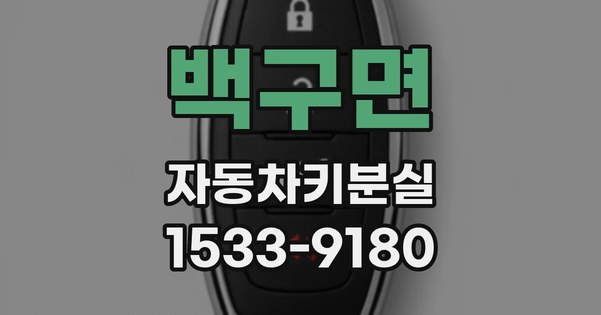백구면 자동차키분실