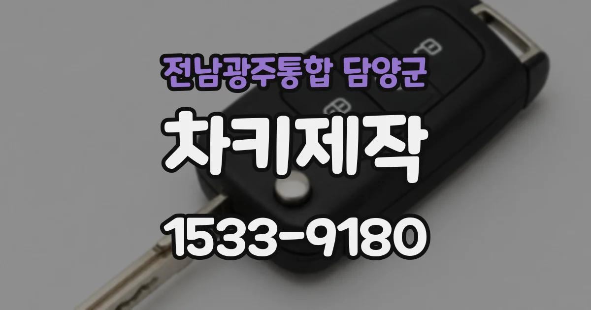 전남광주통합 담양군 차키제작