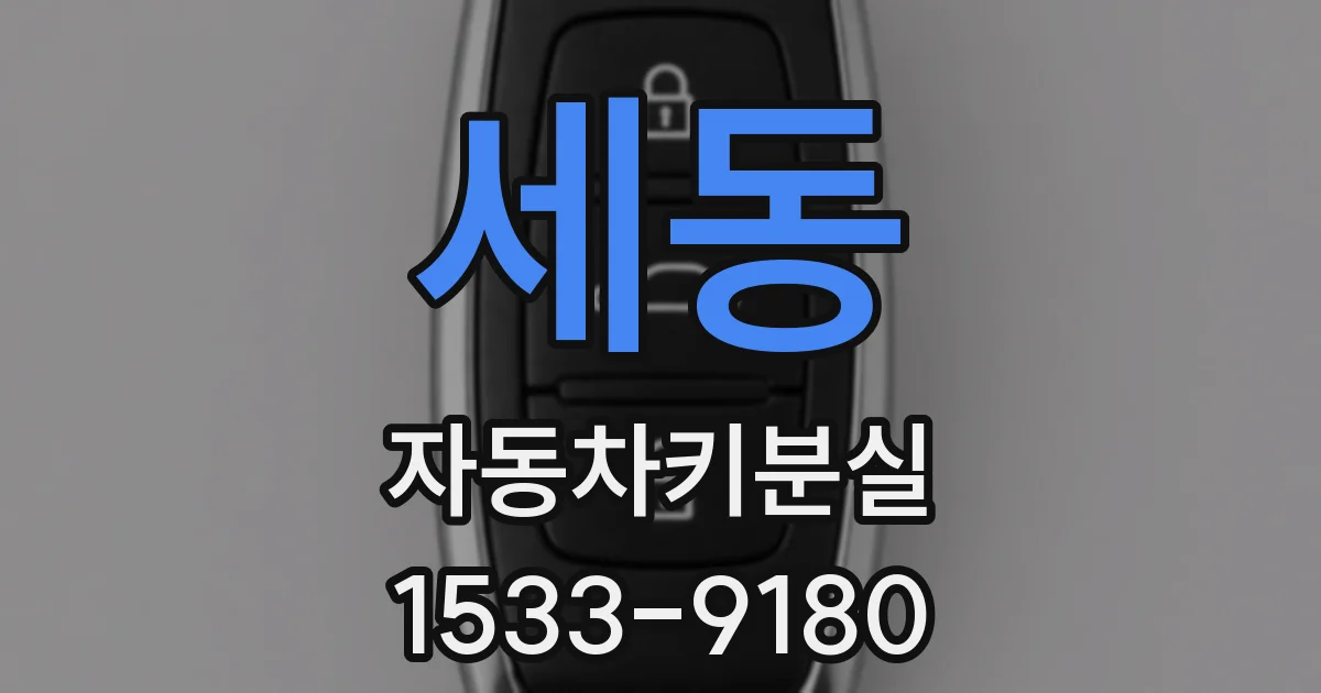 세동 자동차키분실