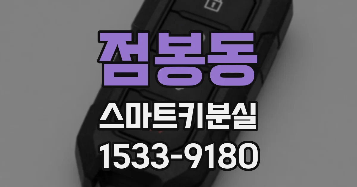점봉동 스마트키분실