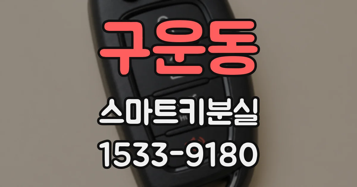구운동 스마트키분실