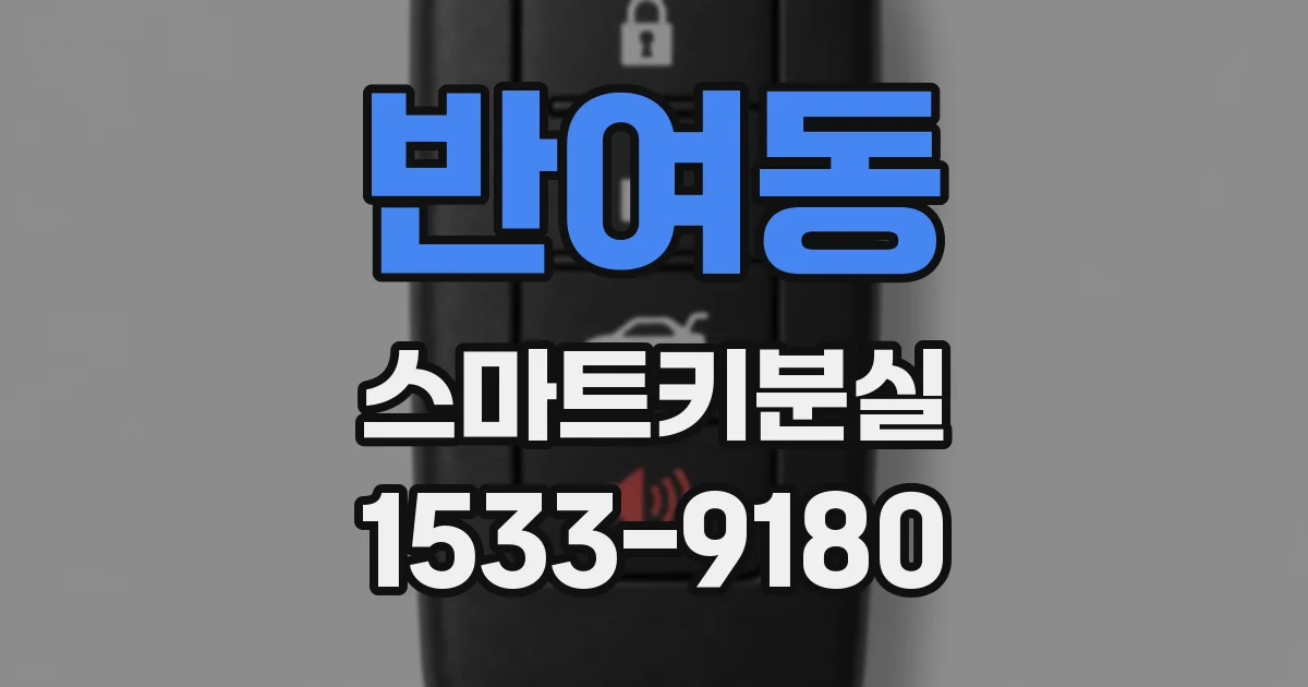 반여동 스마트키분실