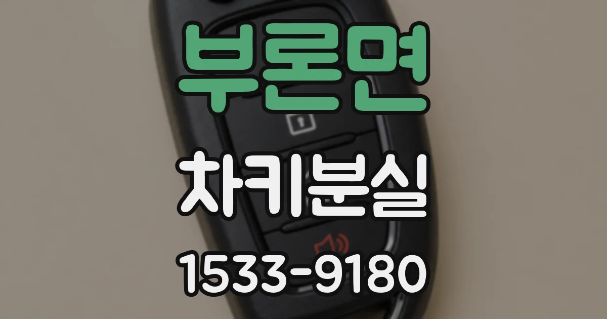 부론면 차키분실