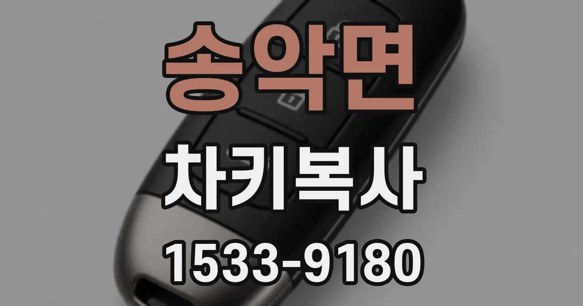 송악면 차키복사