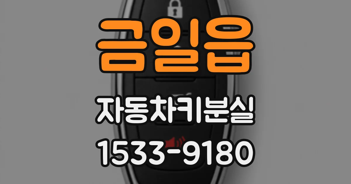 금일읍 자동차키분실