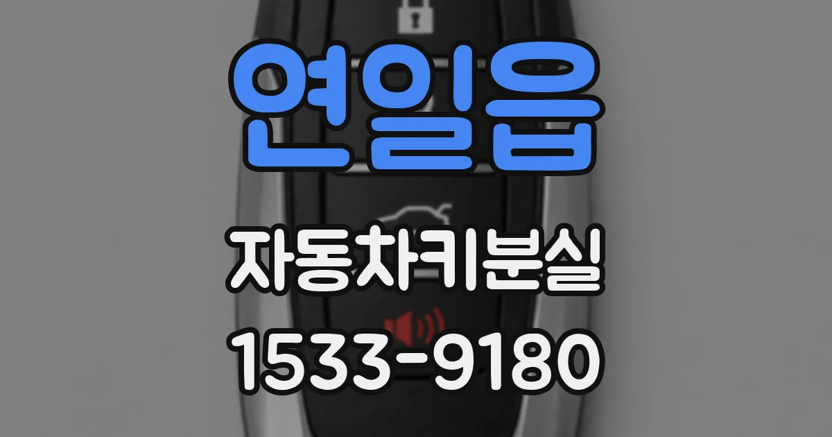 연일읍 자동차키분실
