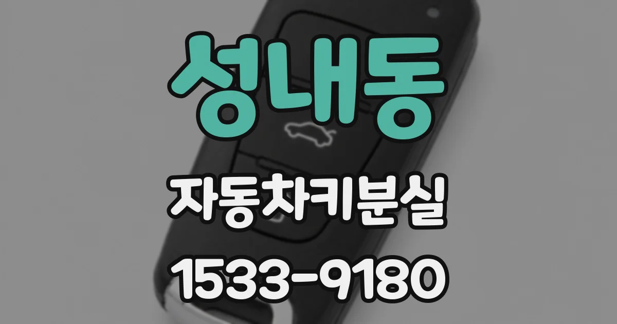 성내동 자동차키분실
