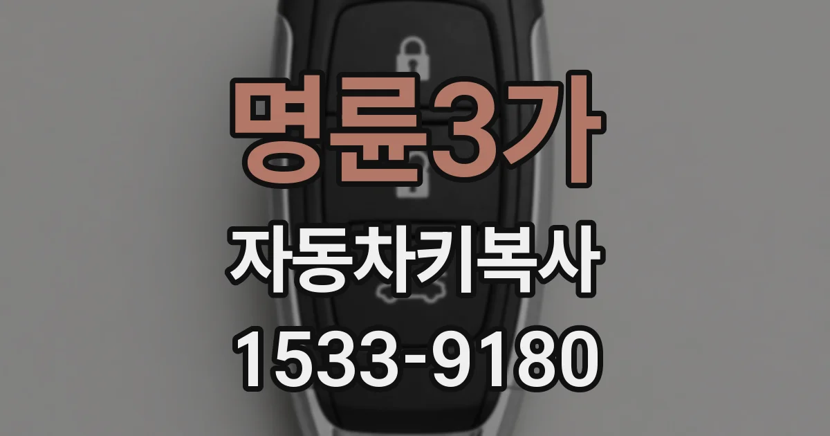 명륜3가 자동차키복사