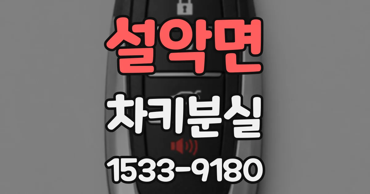 설악면 차키분실