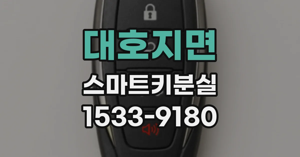 대호지면 스마트키분실