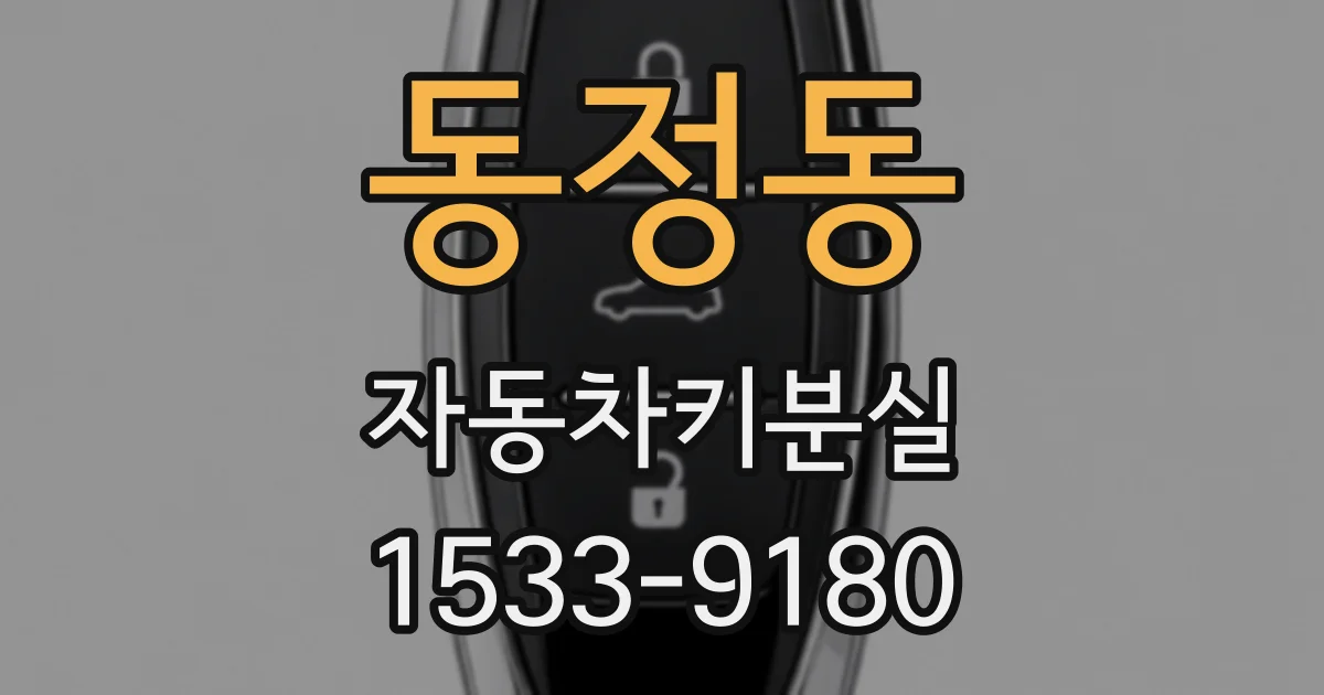 동정동 자동차키분실