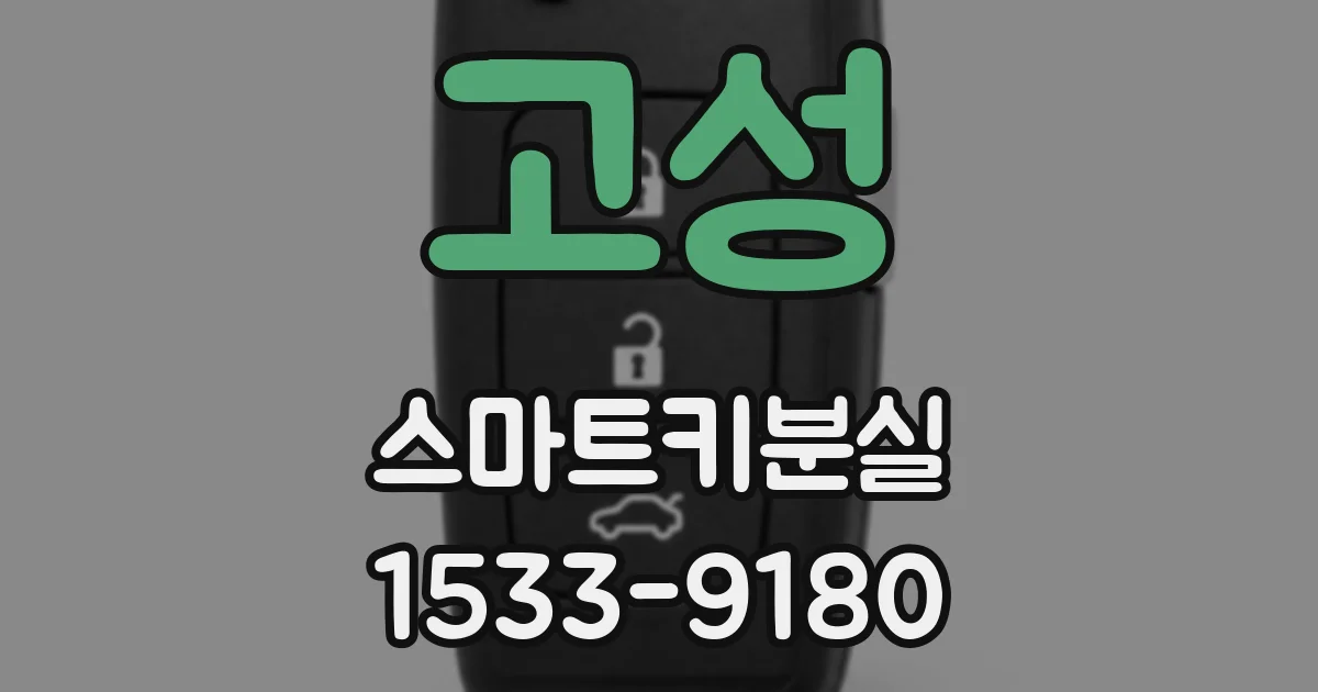 고성 스마트키분실
