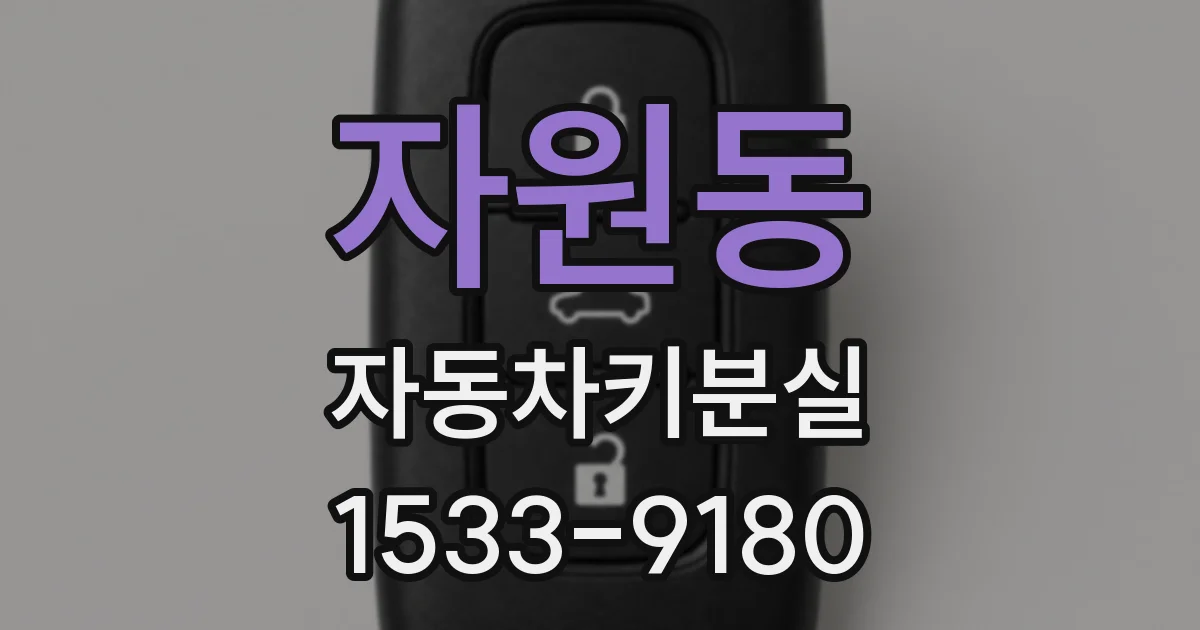 자원동 자동차키분실