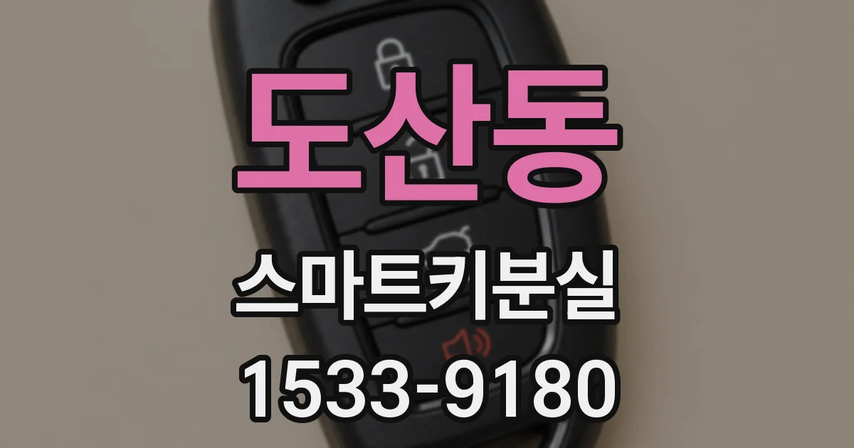 도산동 스마트키분실