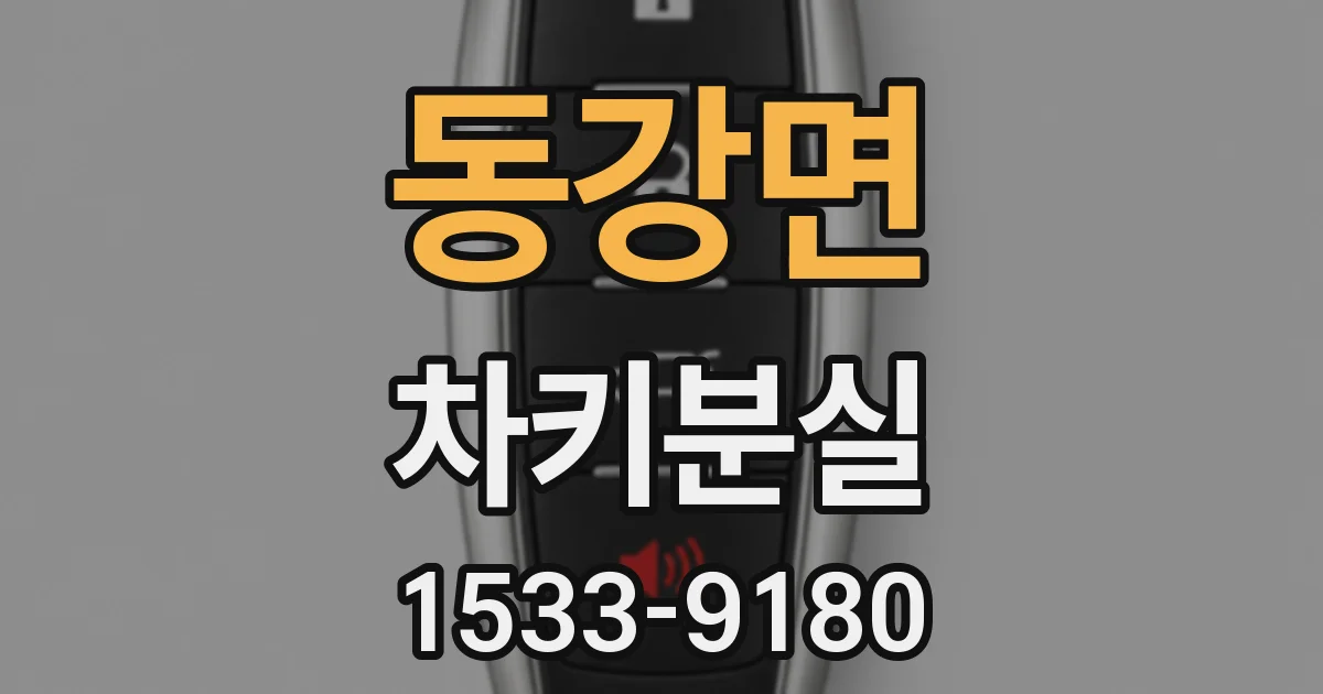 동강면 차키분실