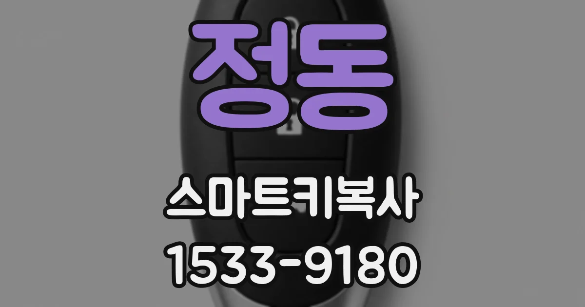 정동 스마트키복사