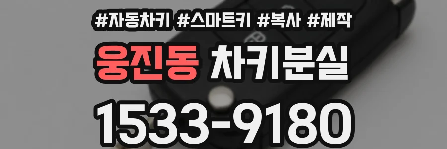 웅진동 차키분실