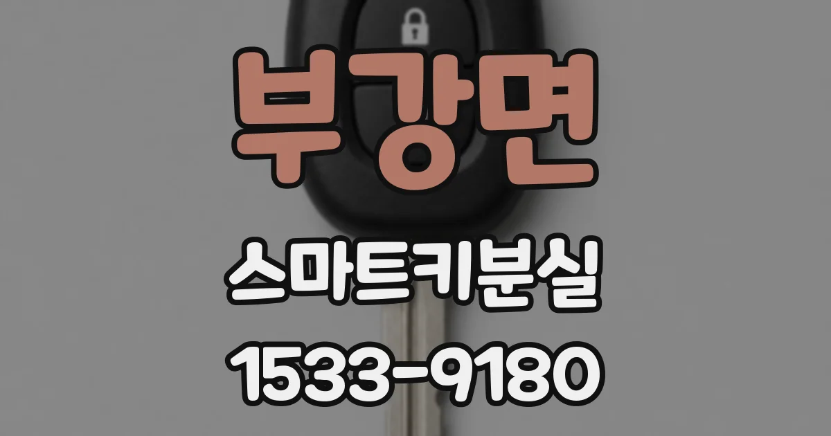 부강면 스마트키분실