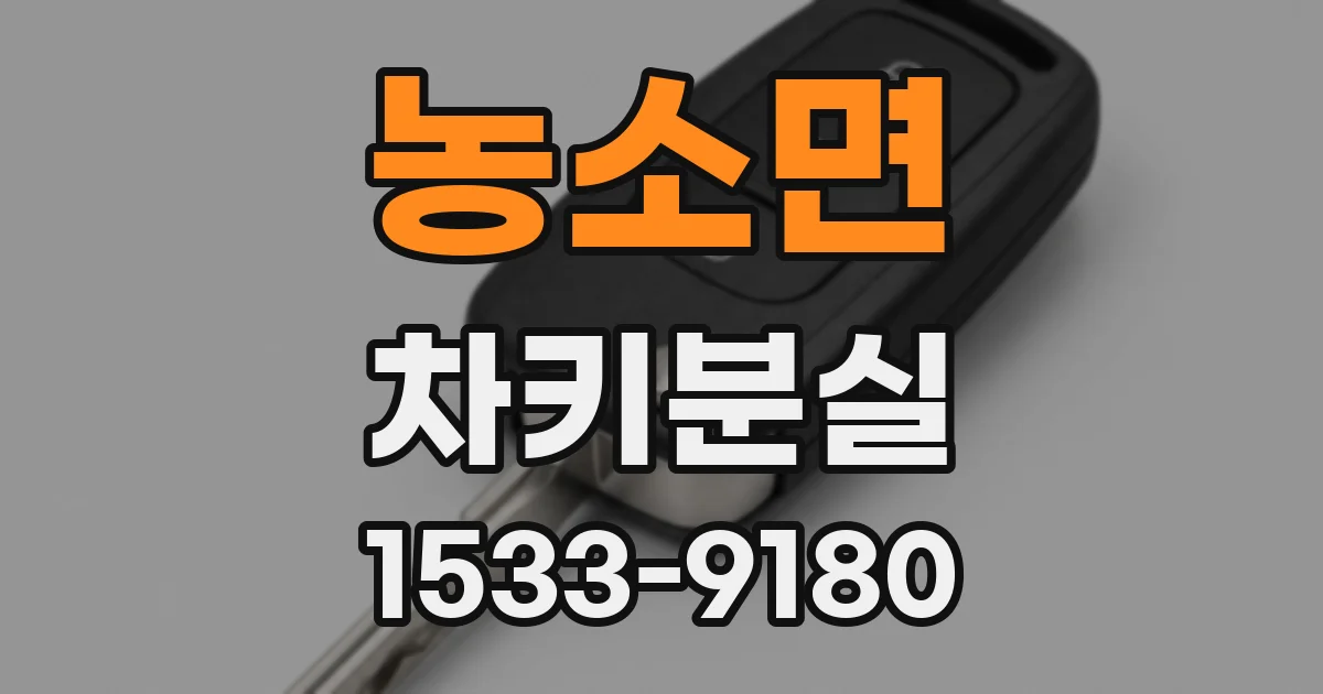 농소면 차키분실
