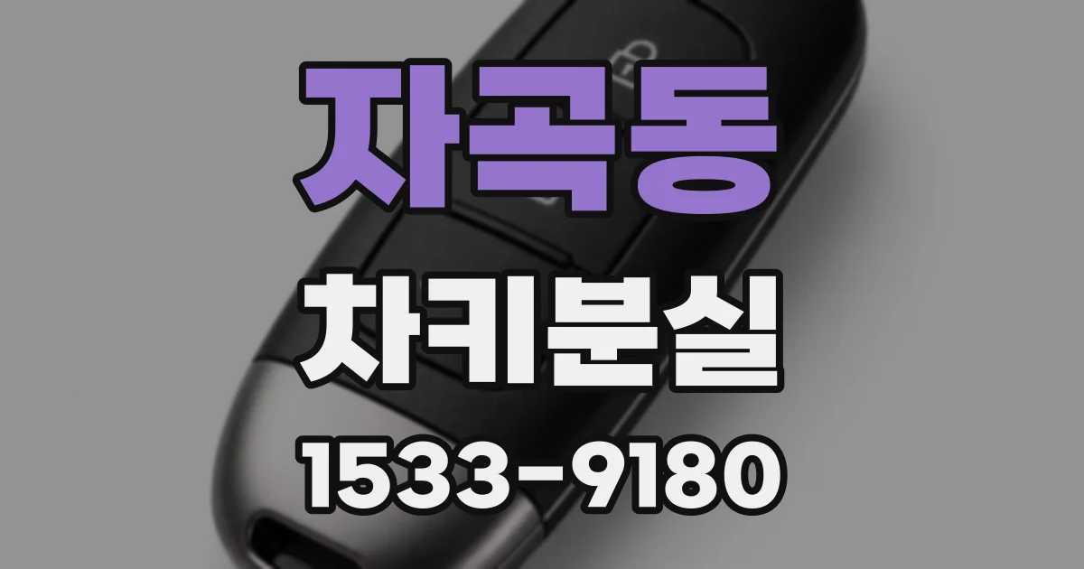 자곡동 차키분실