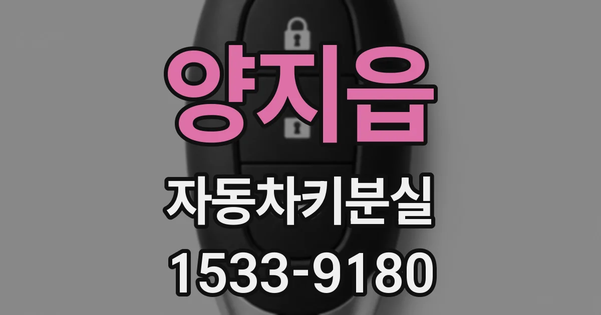 양지읍 자동차키분실