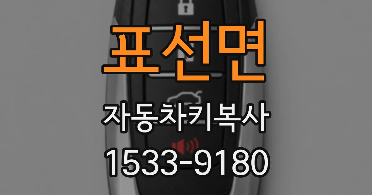 표선면 자동차키복사