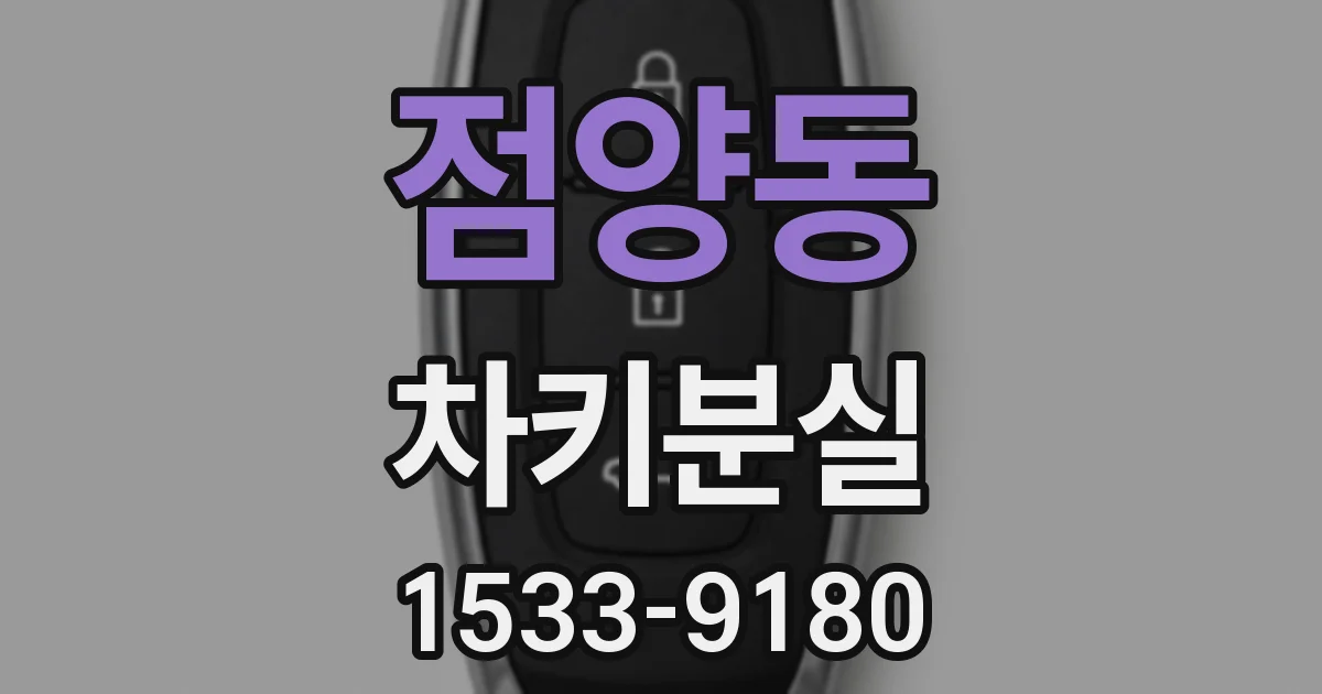 점양동 차키분실