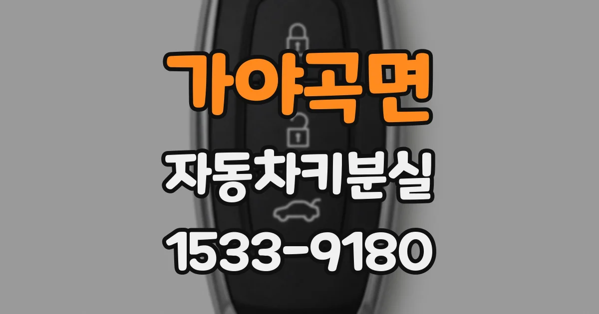 가야곡면 자동차키분실
