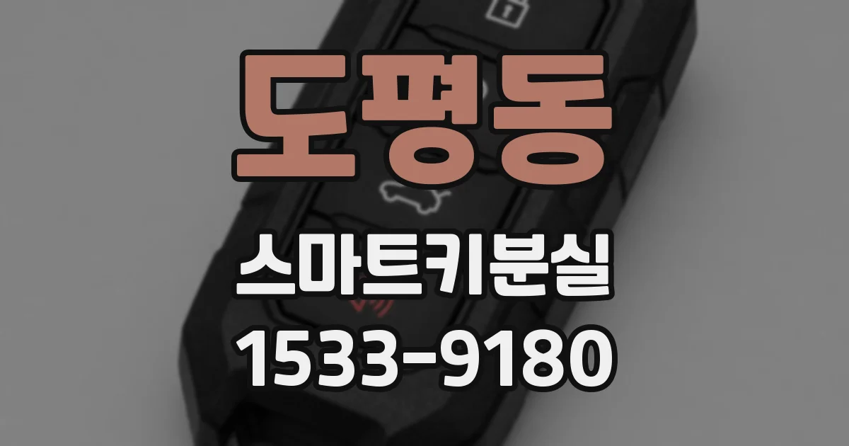 도평동 스마트키분실