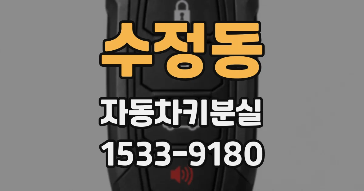 수정동 자동차키분실