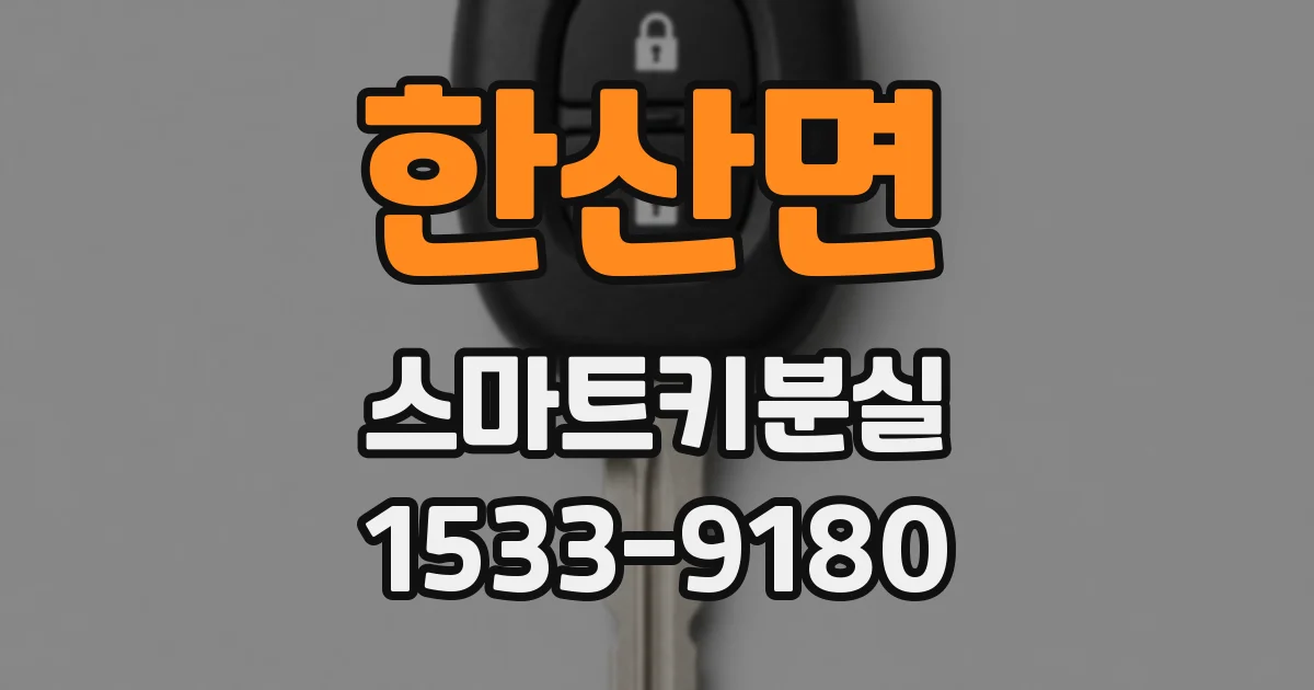 한산면 스마트키분실