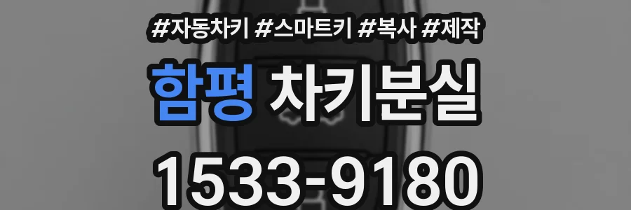 함평 차키분실