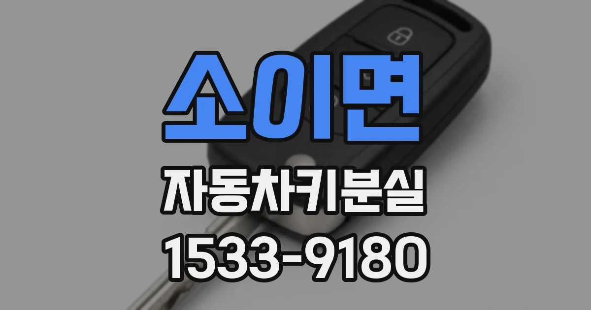 소이면 자동차키분실