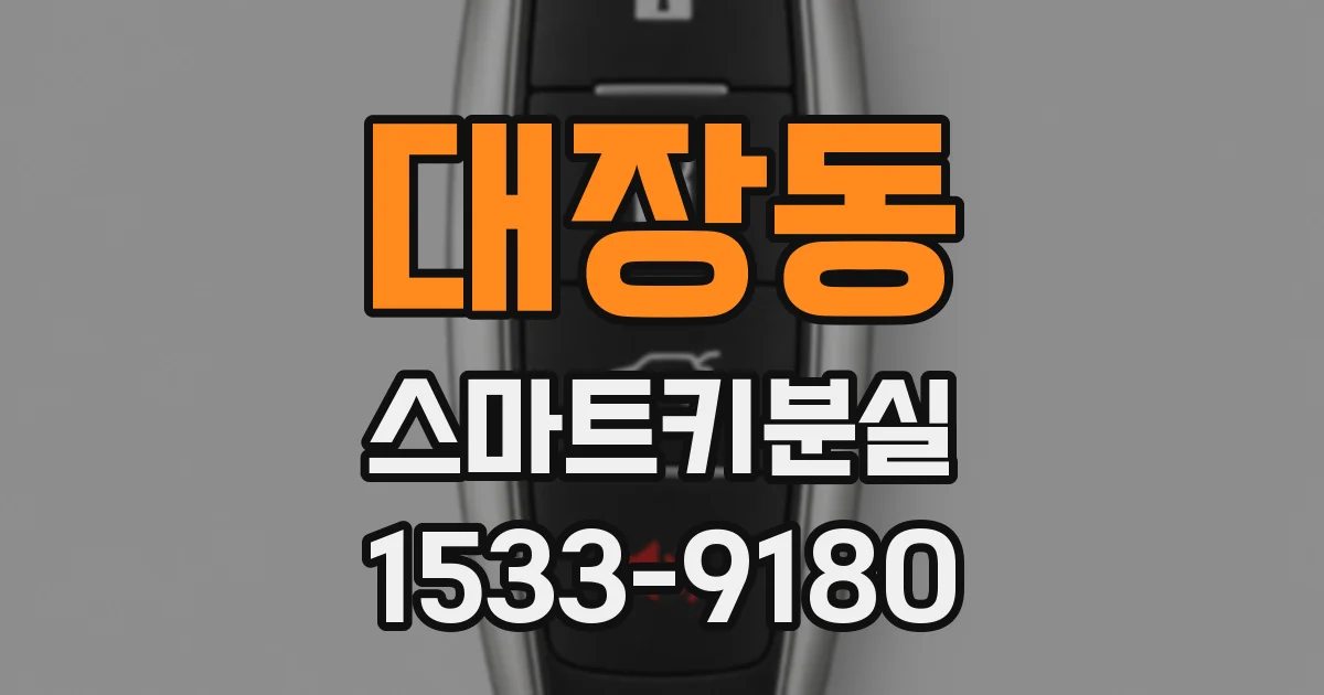 대장동 스마트키분실