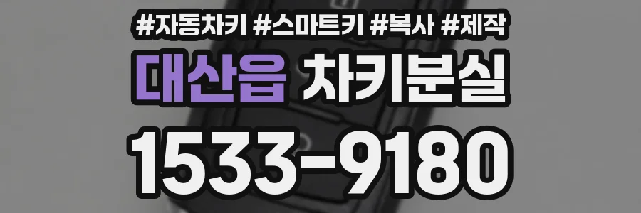 대산읍 차키분실
