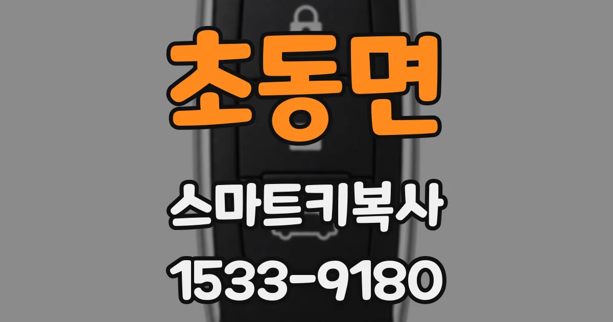 초동면 스마트키복사