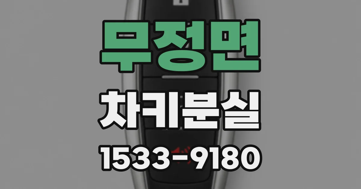 무정면 차키분실
