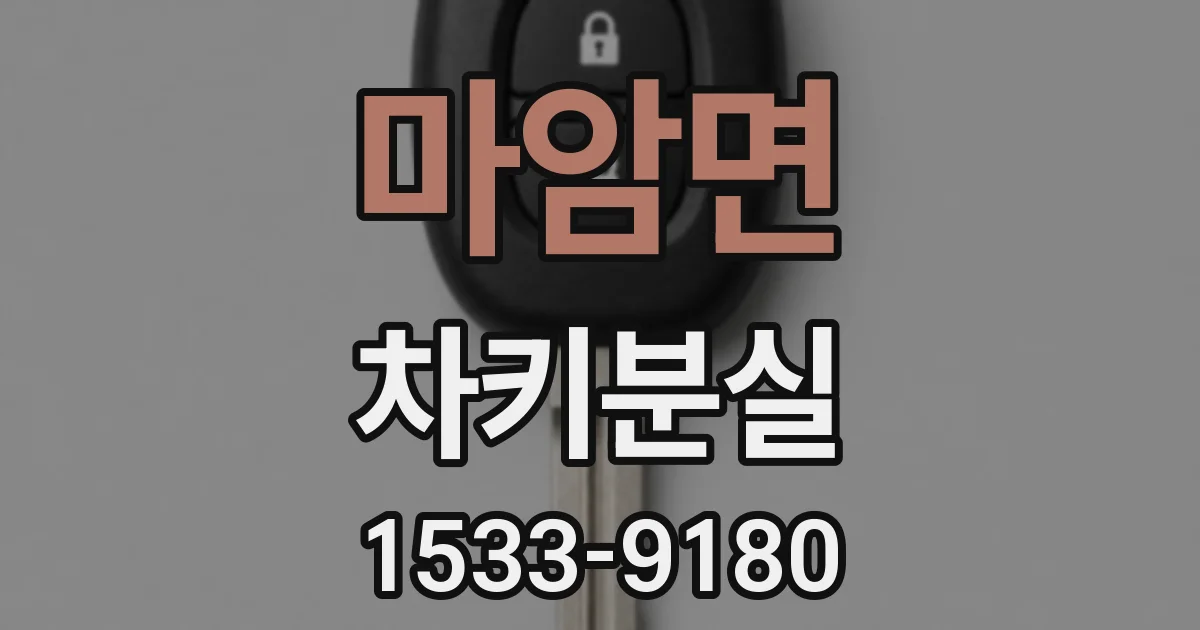 마암면 차키분실